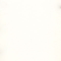 Kiefer 6